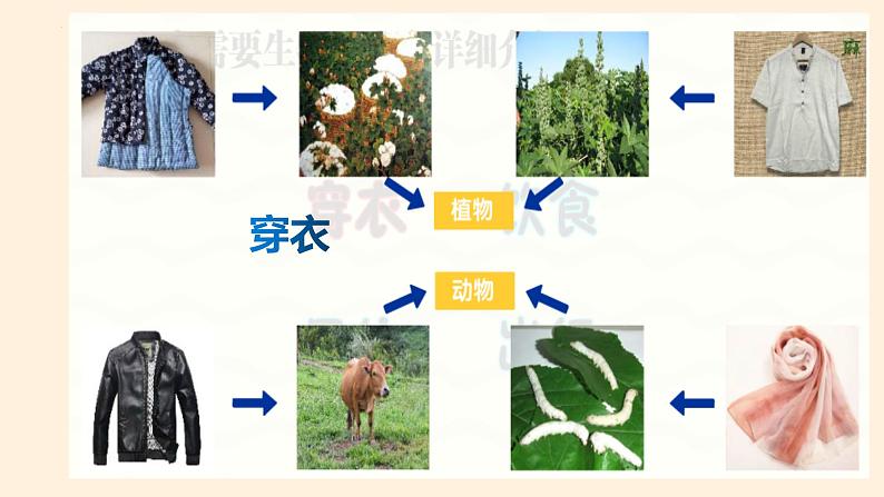 [冀人版]六年级上册科学17.保护生物教学课件05