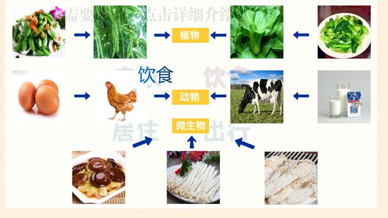 [冀人版]六年级上册科学17.保护生物教学课件06