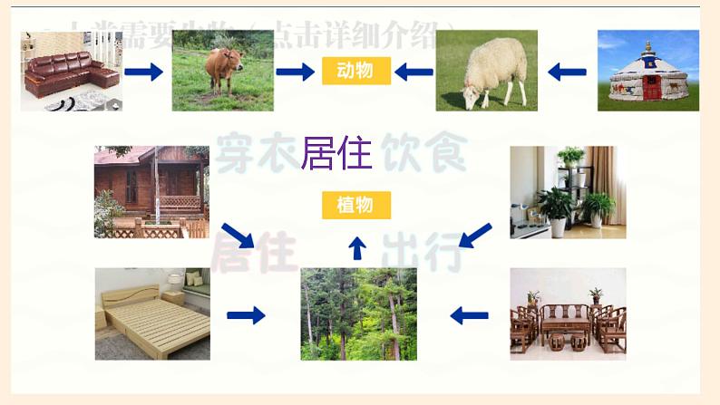 [冀人版]六年级上册科学17.保护生物教学课件07