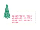 [冀人版]四年级下册科学卵生与胎生教学课件