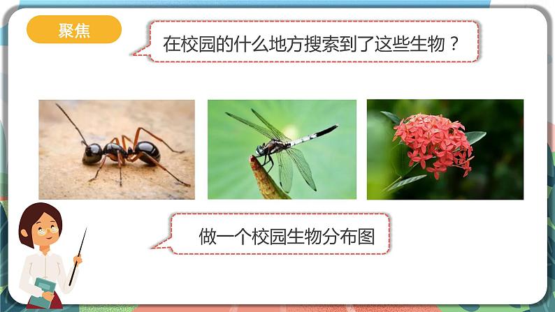 2.2《制作校园生物分布图》课件 第3页