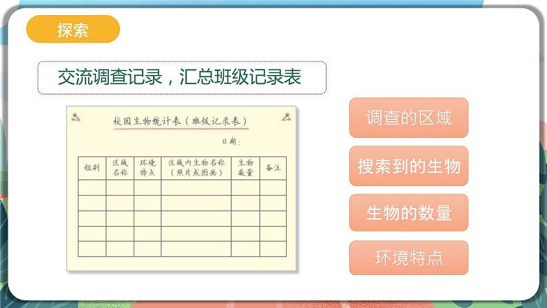 2.2《制作校园生物分布图》课件 第4页