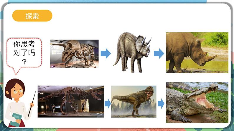 2.6《古代生物的多样性》课件+教案+实验记录单08