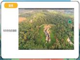 2.7《保護(hù)生物多樣性》課件+教案+素材