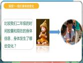 4.6《生命体中的化学变化》课件+实验记录单（送教案）