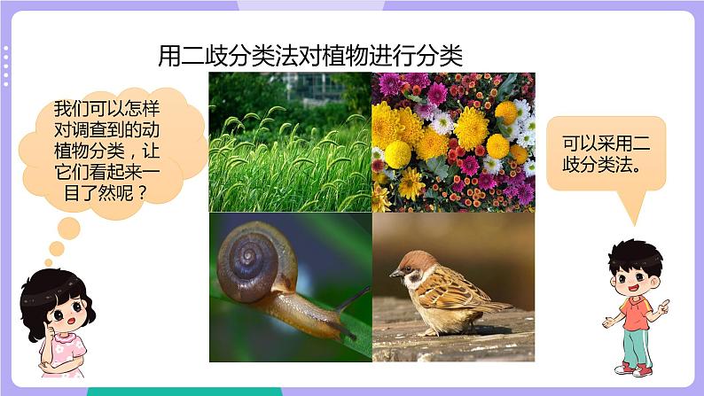 2.2 制作校园生物分布图（课件+教案+视频素材）07