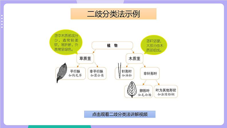 2.2 制作校园生物分布图（课件+教案+视频素材）08