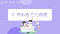 教科版 (2017)六年级下册3.形形色色的植物优秀课件ppt