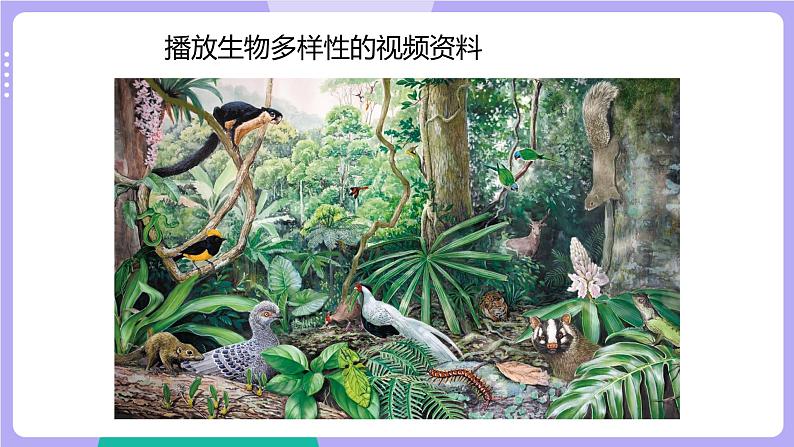 2.7 保护生物多样性（课件+教案+视频素材）02