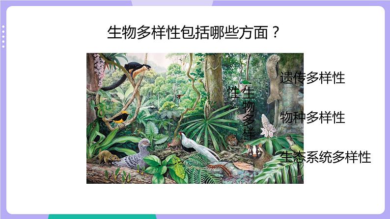 2.7 保护生物多样性（课件+教案+视频素材）03