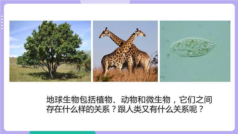 2.7 保护生物多样性（课件+教案+视频素材）04