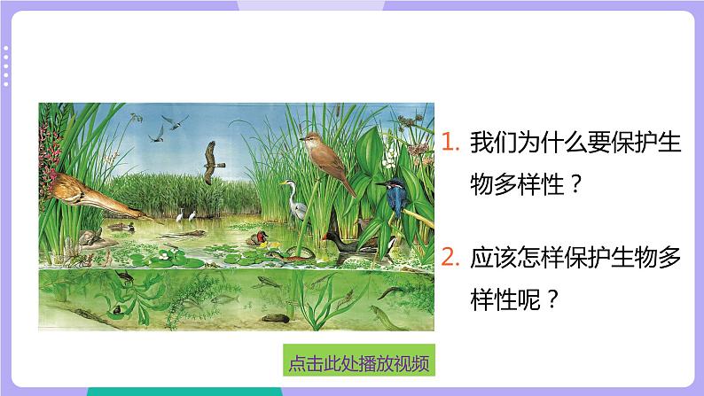 2.7 保护生物多样性（课件+教案+视频素材）05