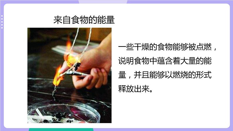 4.6 生命体中的化学变化（课件+教案+视频素材）05