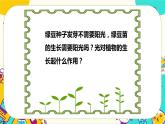 1.3 绿豆苗的生长（课件+教案+视频素材）