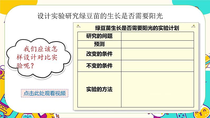 1.3 绿豆苗的生长（课件+教案+视频素材）04