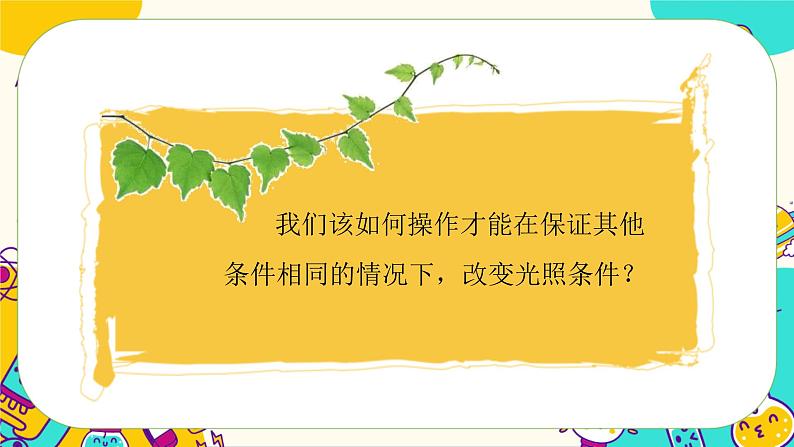 1.3 绿豆苗的生长（课件+教案+视频素材）06