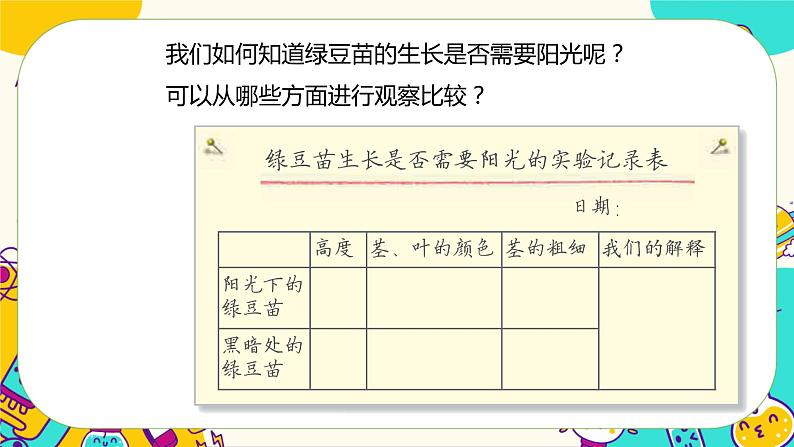 1.3 绿豆苗的生长（课件+教案+视频素材）07