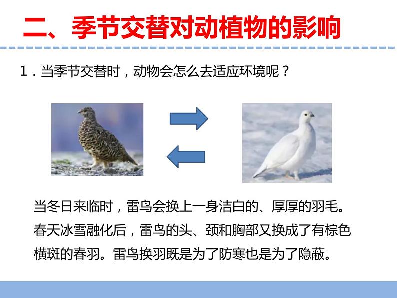 苏教版小学科学四年级下册第五单元《17.环境改变以后》课件第4页