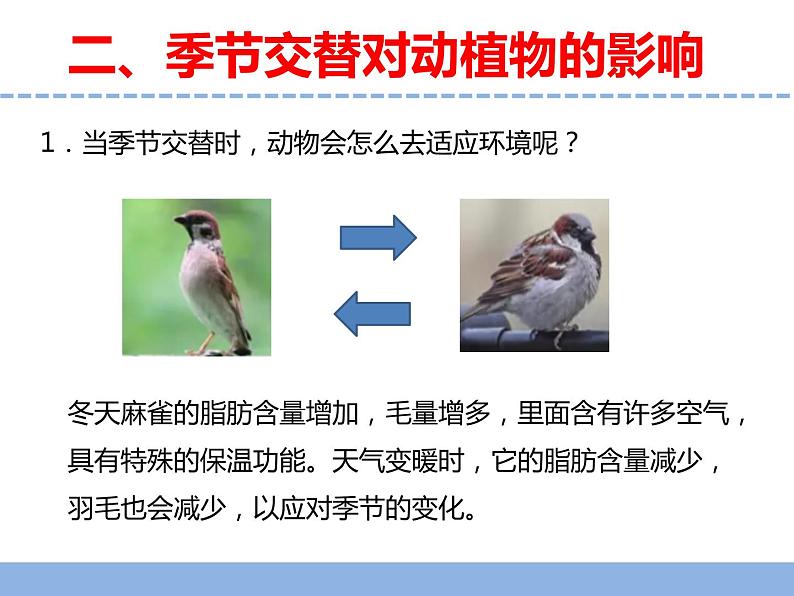 苏教版小学科学四年级下册第五单元《17.环境改变以后》课件第5页