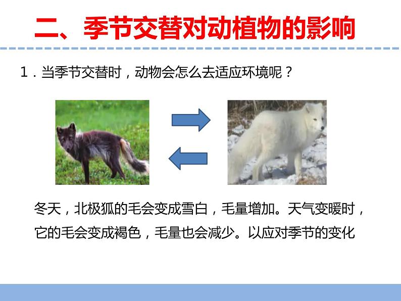 苏教版小学科学四年级下册第五单元《17.环境改变以后》课件第6页