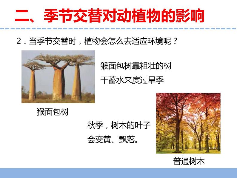 苏教版小学科学四年级下册第五单元《17.环境改变以后》课件第7页