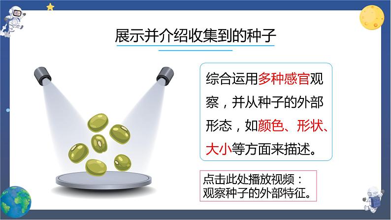 1.1 种子里孕育着新生命（课件+教案+视频素材）03