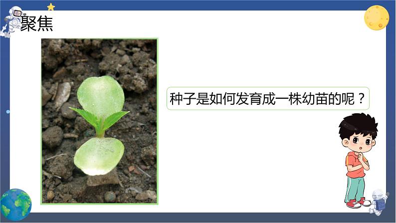 1.2 种植凤仙花（课件+教案+视频素材）02
