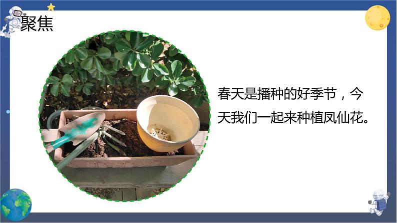 1.2 种植凤仙花（课件+教案+视频素材）03