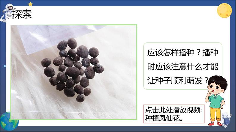 1.2 种植凤仙花（课件+教案+视频素材）05