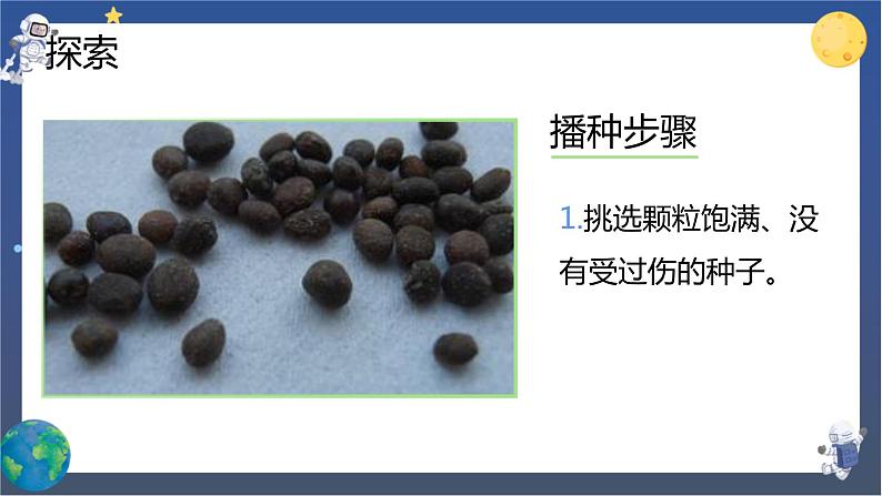 1.2 种植凤仙花（课件+教案+视频素材）06
