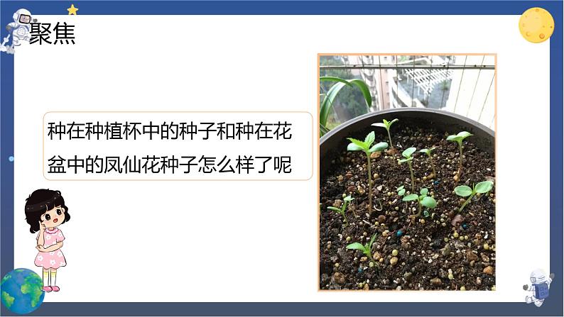 1.3 种子长出了根（课件+教案+视频素材）02
