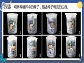 1.3 种子长出了根（课件+教案+视频素材）