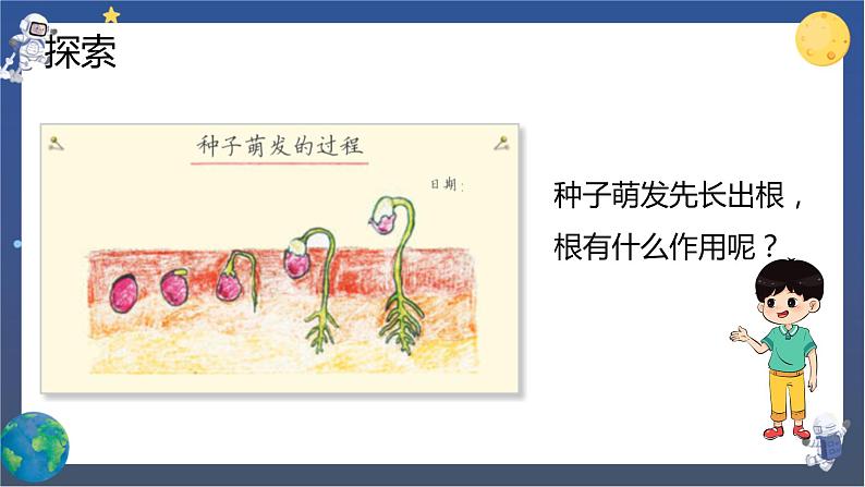 1.3 种子长出了根（课件+教案+视频素材）06