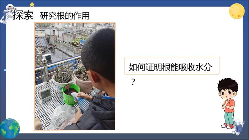 1.3 种子长出了根（课件+教案+视频素材）07