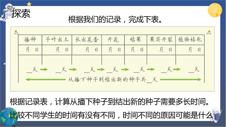 1.8 凤仙花的一生（课件+教案+视频素材）06