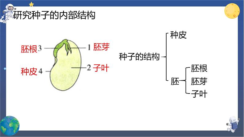 教科版科学四下  第一单元复习课件05