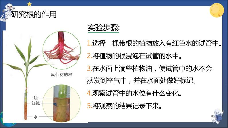 教科版科学四下  第一单元复习课件08