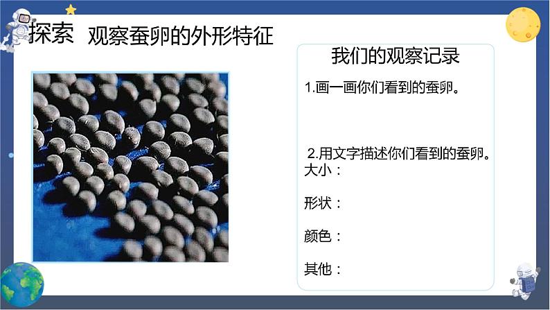 2.1 迎接蚕宝宝的到来（课件+教案+视频素材）04