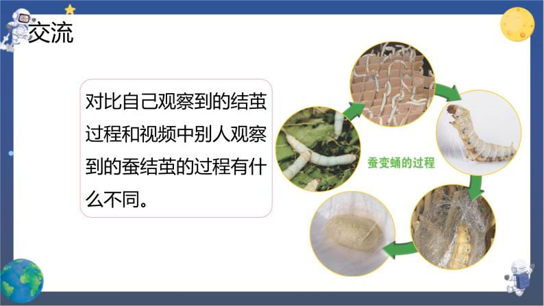 小学科学教科版 (2017)三年级下册4.蚕变了新模样获奖ppt课件-教习网|课件下载
