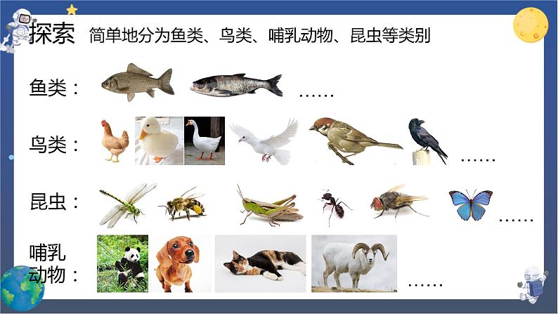 2.7 动物的繁殖（课件+教案+视频素材）07