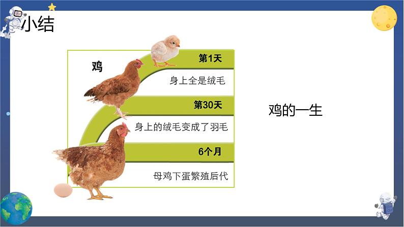 2.8 动物的一生（课件+教案+视频素材）06