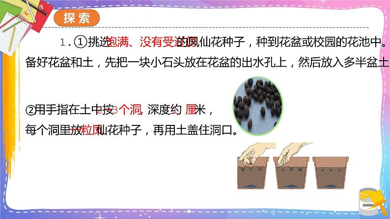 教科版科学四年级下册 1.2种植凤仙花 课件+同步教案+同步练习03