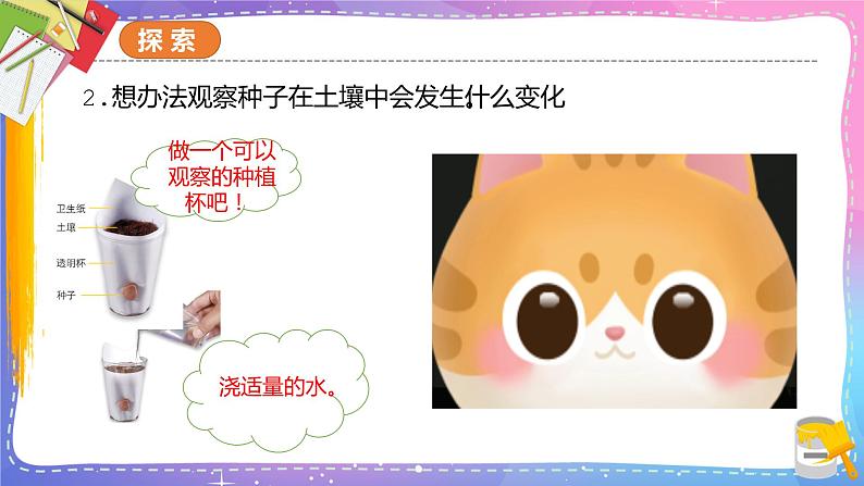 教科版科学四年级下册 1.2种植凤仙花 课件+同步教案+同步练习05