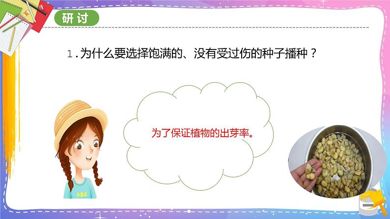 教科版科学四年级下册 1.2种植凤仙花 课件+同步教案+同步练习07