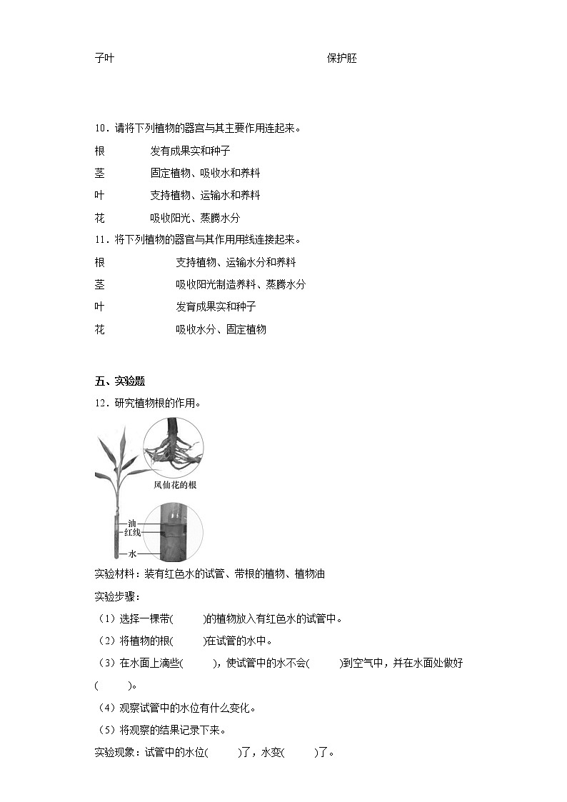 教科版科学四年级下册 1.3种子长出了根 课件+同步教案+同步练习02