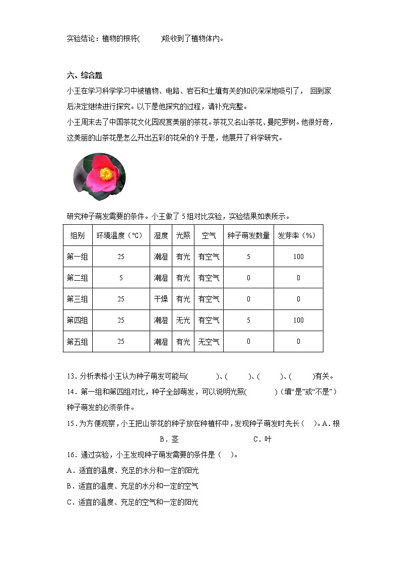 教科版科学四年级下册 1.3种子长出了根 课件+同步教案+同步练习03