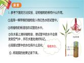 教科版科学四年级下册 1.3种子长出了根 课件+同步教案+同步练习