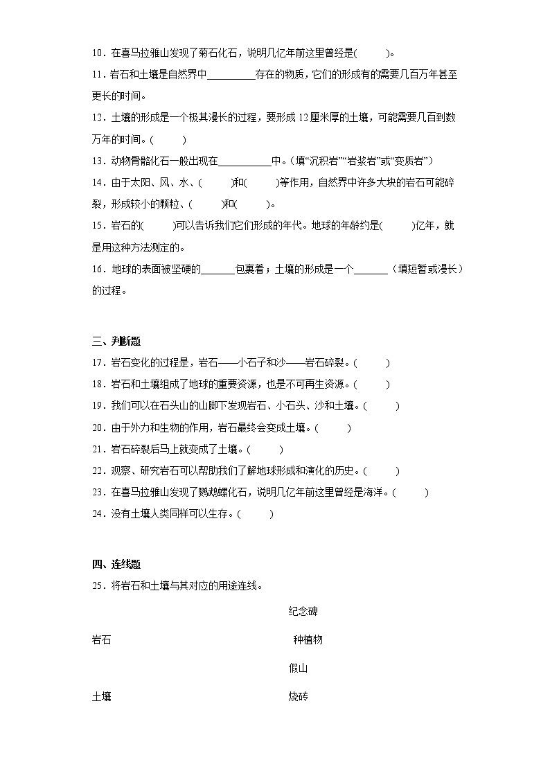 教科版科学四年级下册 3.1岩石与土壤的故事 同步练习第2页
