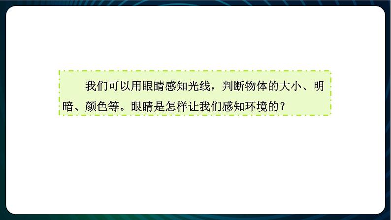 新青岛版科学六年级下册1 视觉 课件PPT02