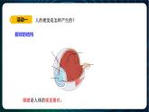 新青岛版科学六年级下册1 视觉 课件PPT